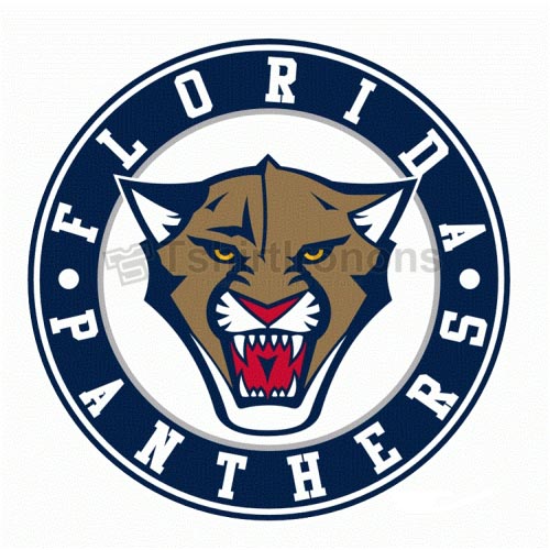 Florida Panthers T-shirts Iron On Transfers N169